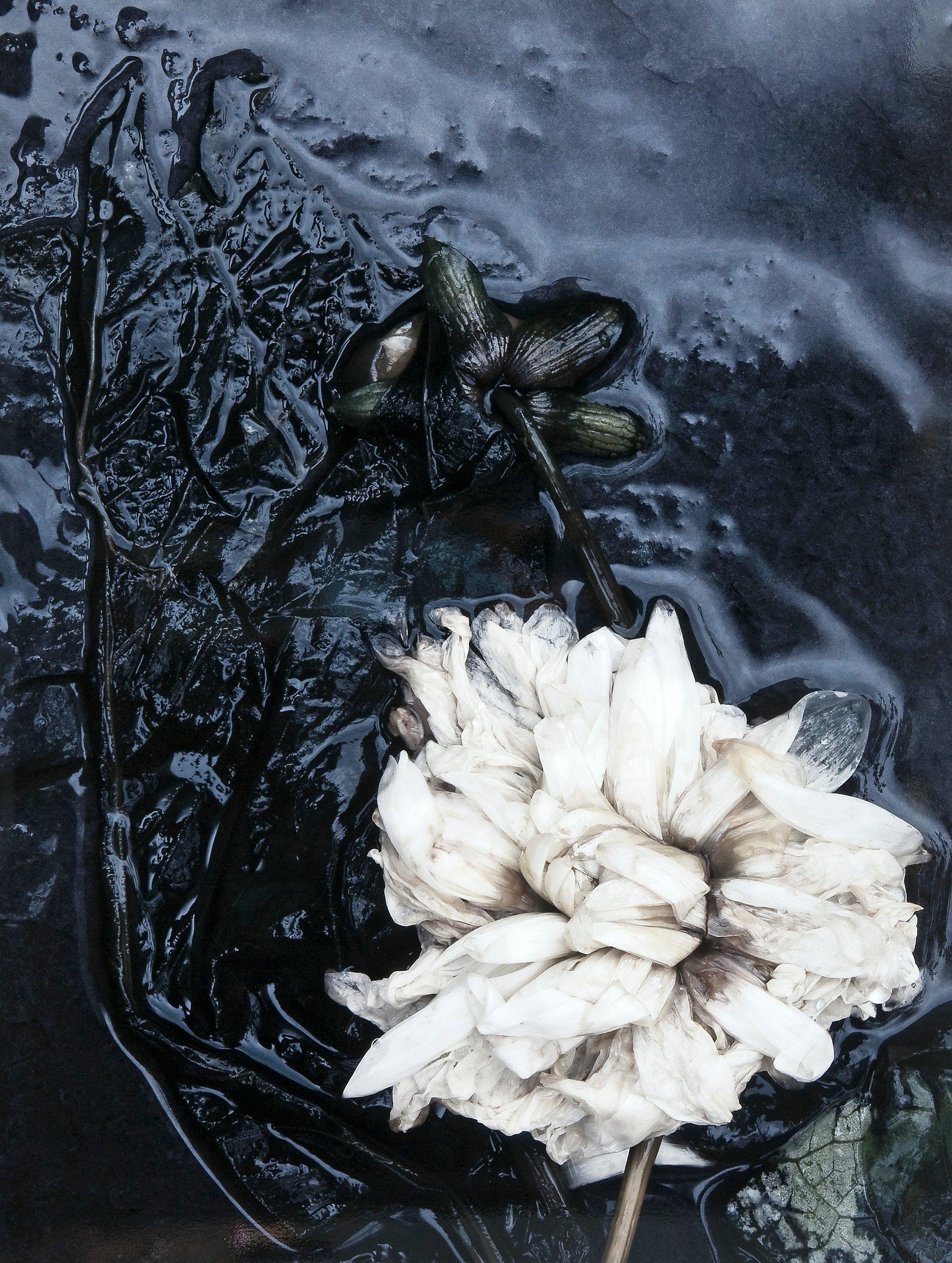 Ullamaija Hänninen - \