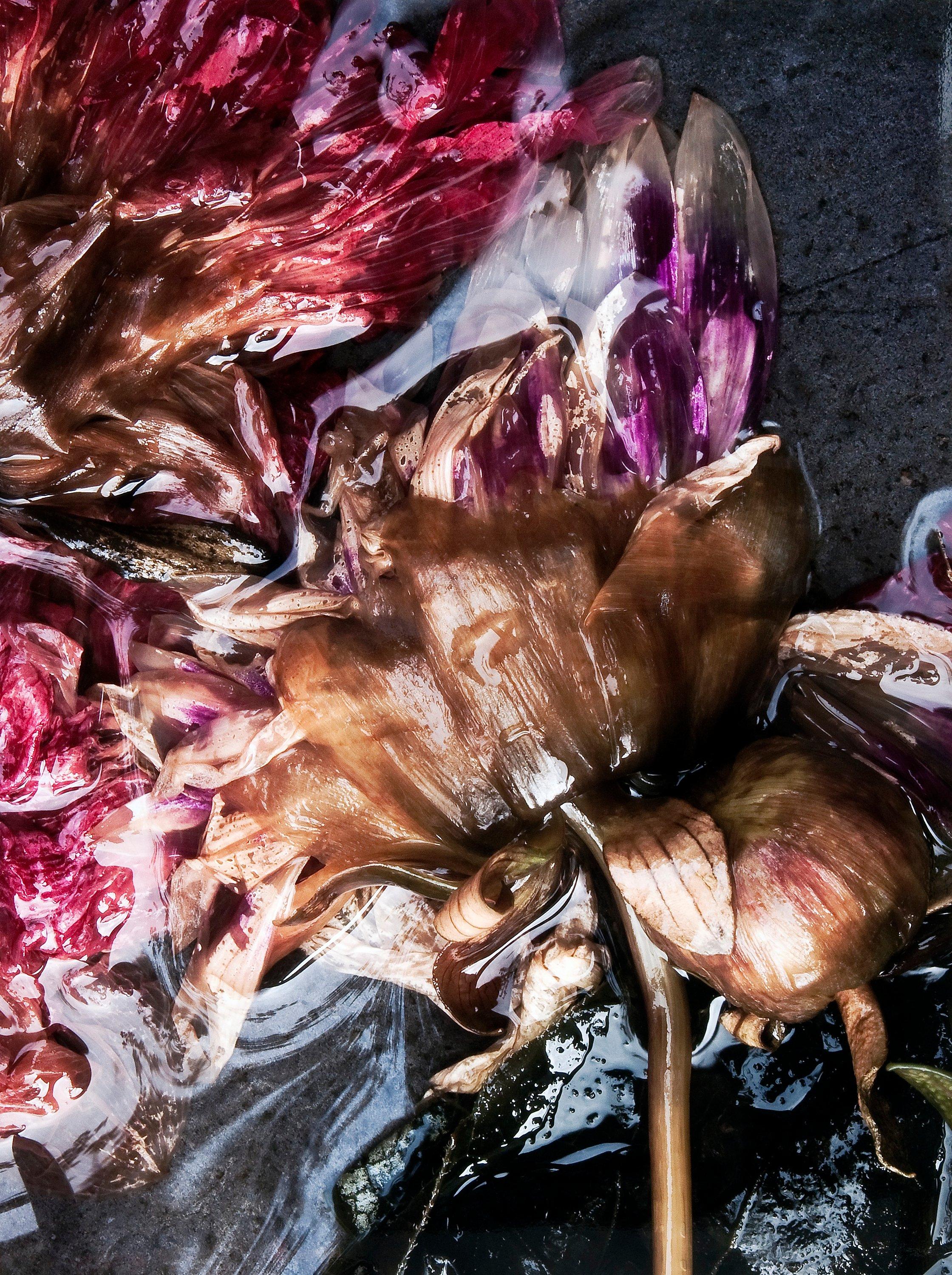 Ullamaija Hänninen - \