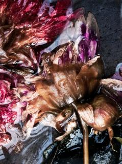 Ullamaija Hänninen - \