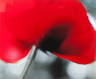 Ullamaija Hänninen - \