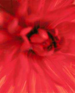 Ullamaija Hänninen - \