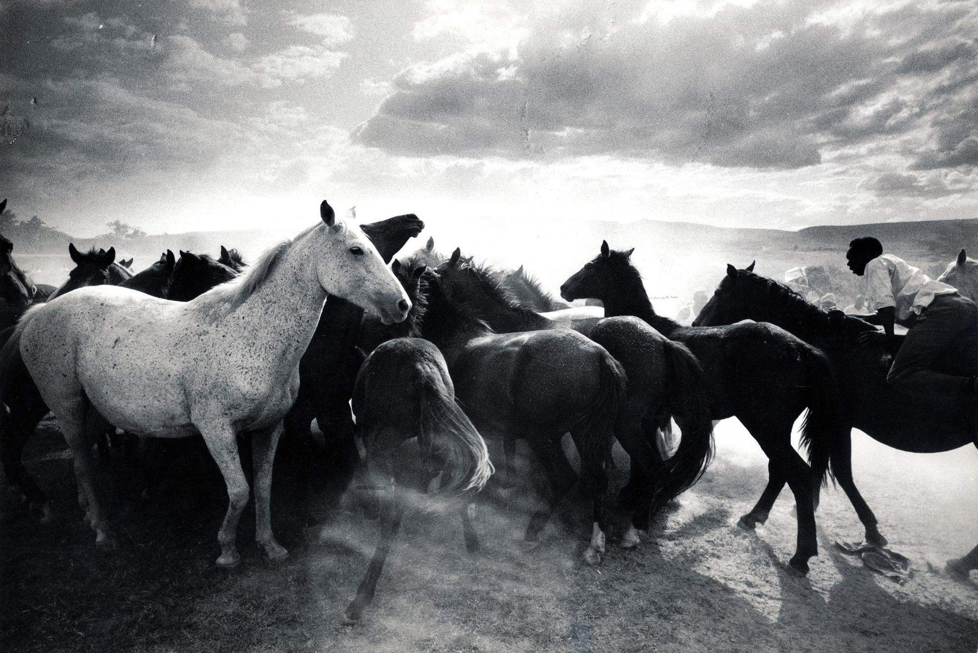 Ulrich Mack - Ohne Titel (Wildpferdefang)