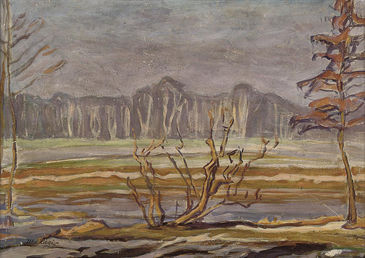 Ulvi Liegi - Paesaggio