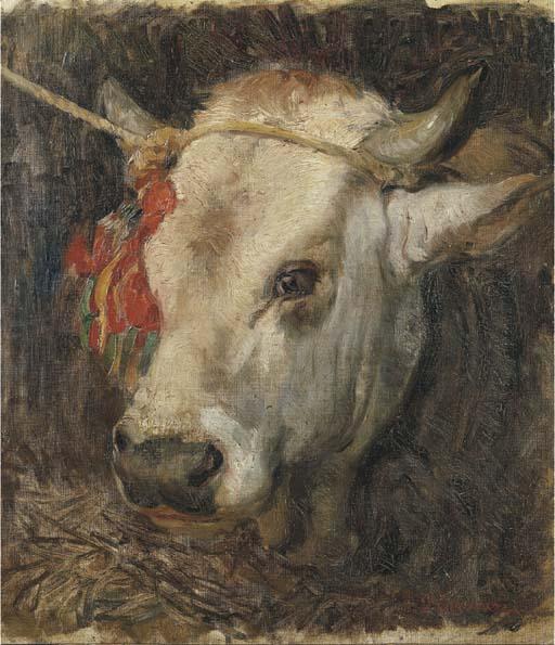 Umberto Coromaldi - Testa di bovino