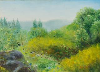 Umberto Lilloni - Appennino parmense