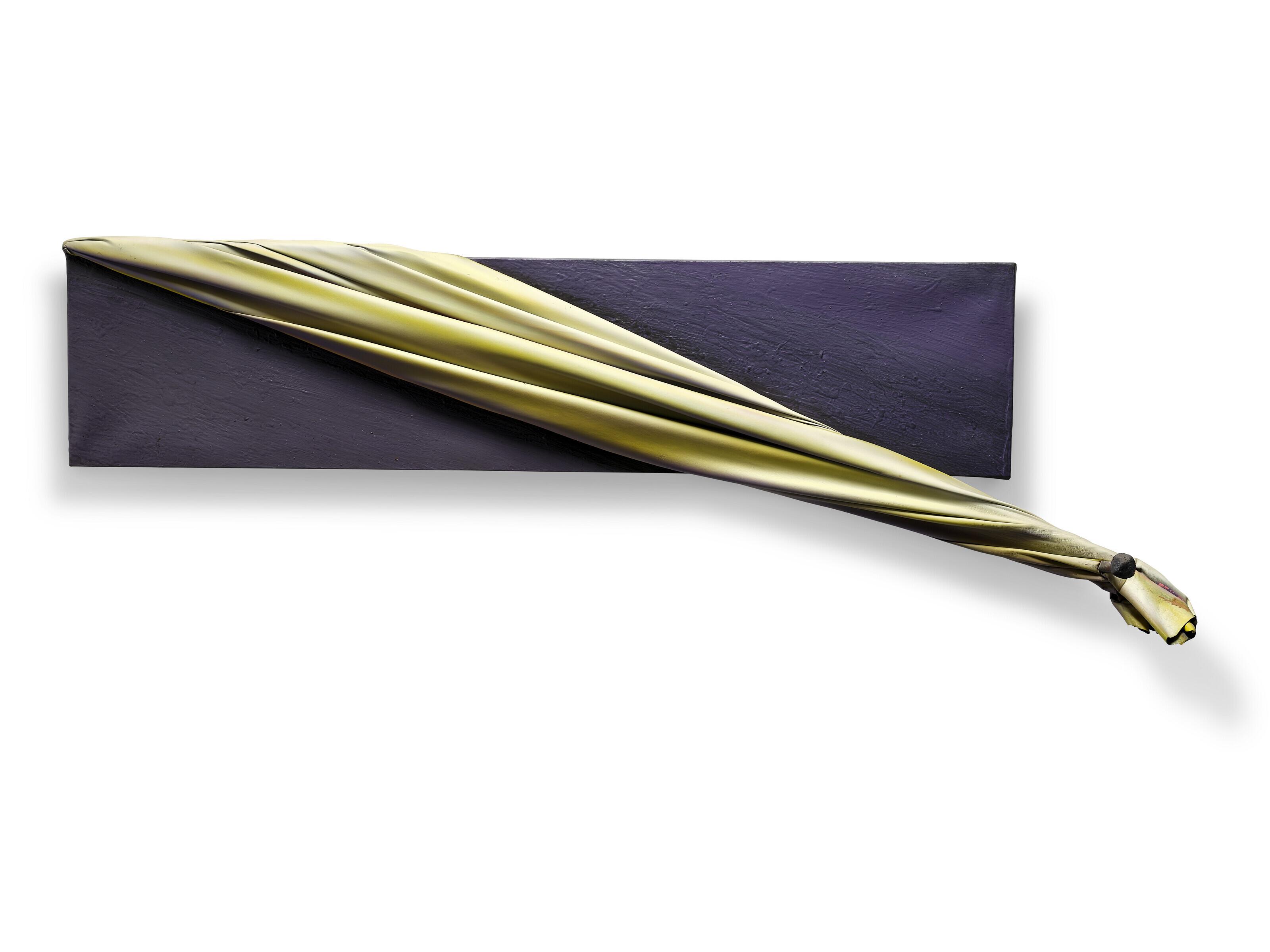 Umberto Mariani - Strumenti per una Deposizione