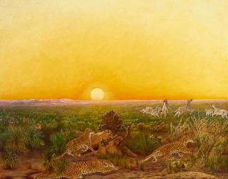 Urs Eggenschwyler - Leopards watching zebras