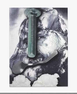 Urs Fischer - Poultry