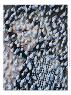 Urs Fischer - Secret