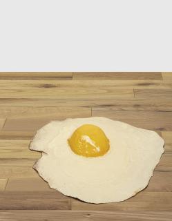 Urs Fischer - Warum wächst ein Baum  Kann man zuviel Fragen