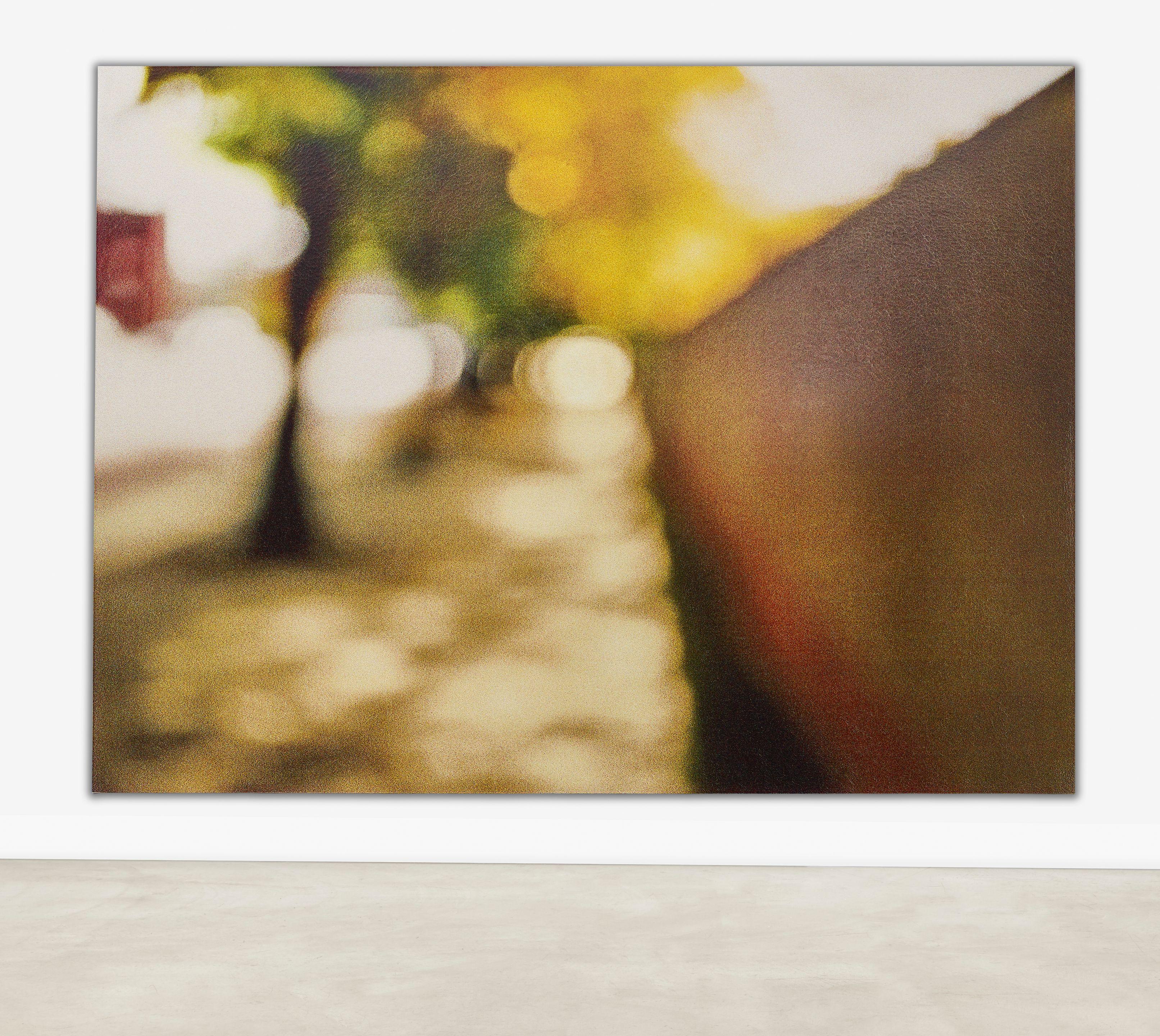 Uta Barth - Field #23, 1998