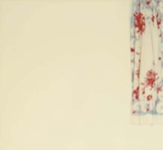 Uta Barth - Ground #46