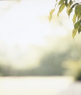 Uta Barth - Ground (95.6)