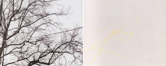 Uta Barth - Untitled 02.9