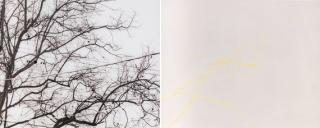 Uta Barth - Untitled 02.9