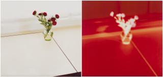 Uta Barth - Untitled (05.3)