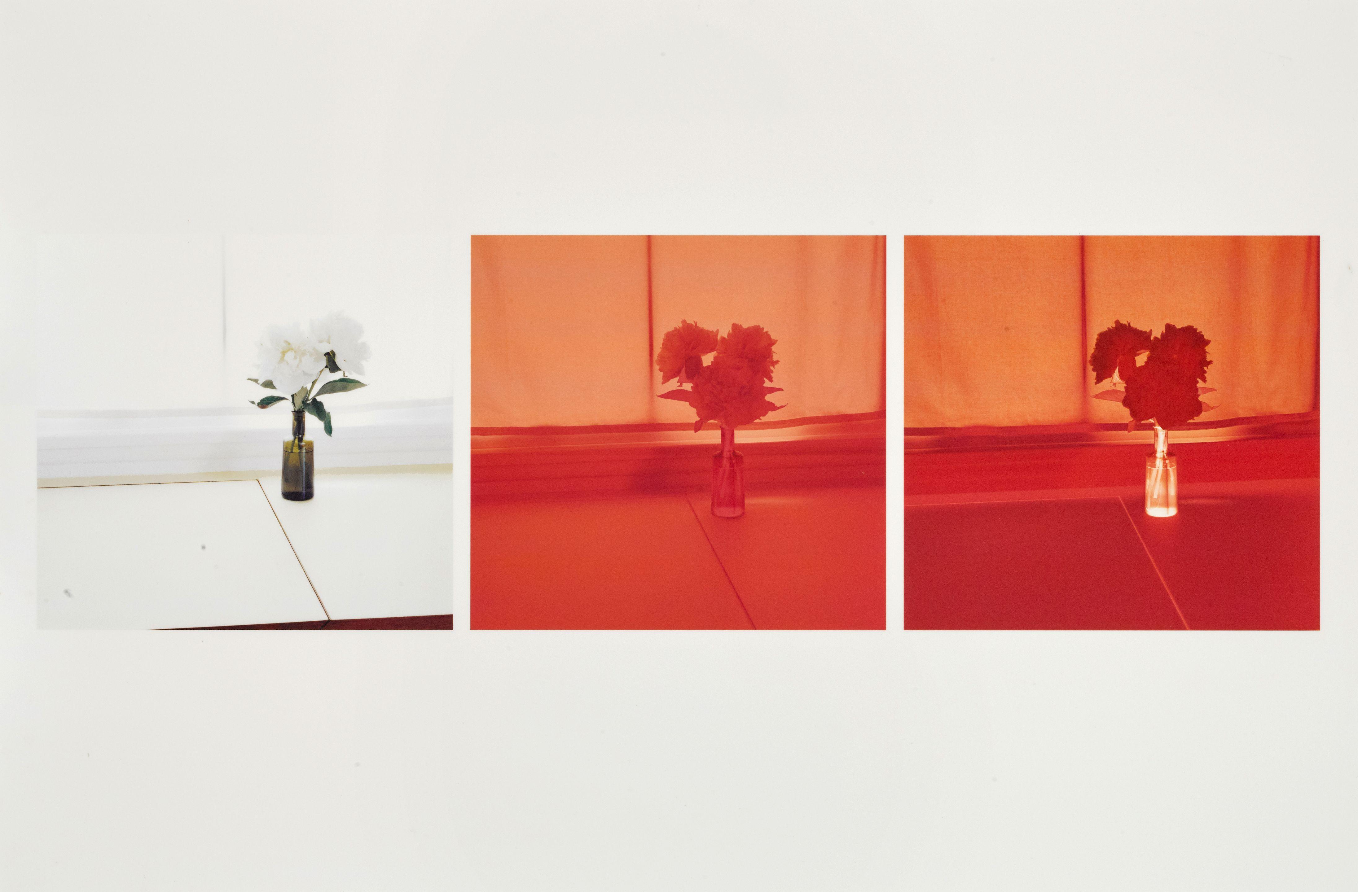 Uta Barth - Untitled (A sketch for a larger work)