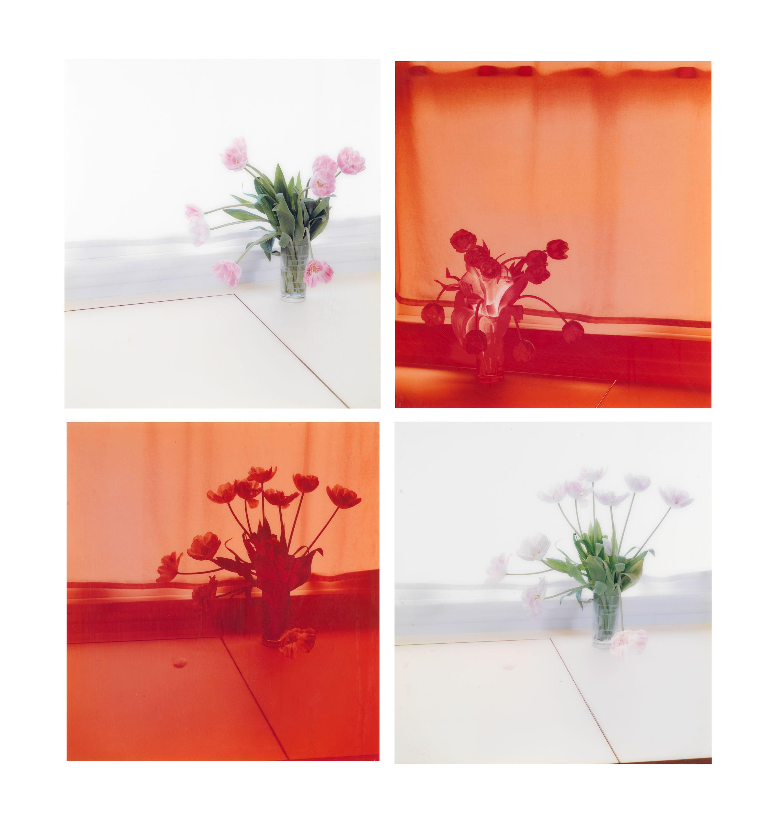 Uta Barth - Untitled (Four Works)