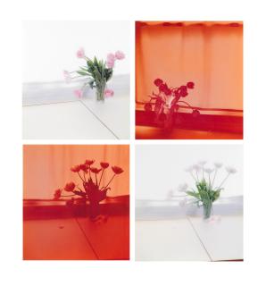 Uta Barth - Untitled (Four Works)