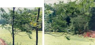 Uta Barth - Untitled