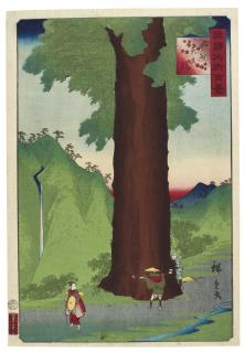 Utagawa Hiroshige Ii - The Yatate Cedar Tree In Kai Province (Koshu Yatate Sugi)