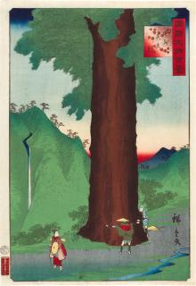Utagawa Hiroshige II - The Yatate Cedar Tree in Kai Province (Koshu Yatate sugi)