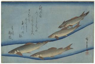 Utagawa Hiroshige - Ayu (Sweetfish)