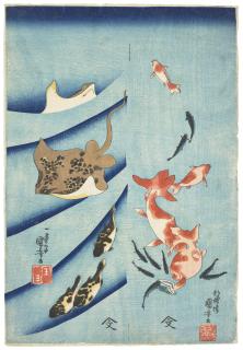 Utagawa Kuniyoshi - Goldfish, Killifish, Stingray And Puffer Fish