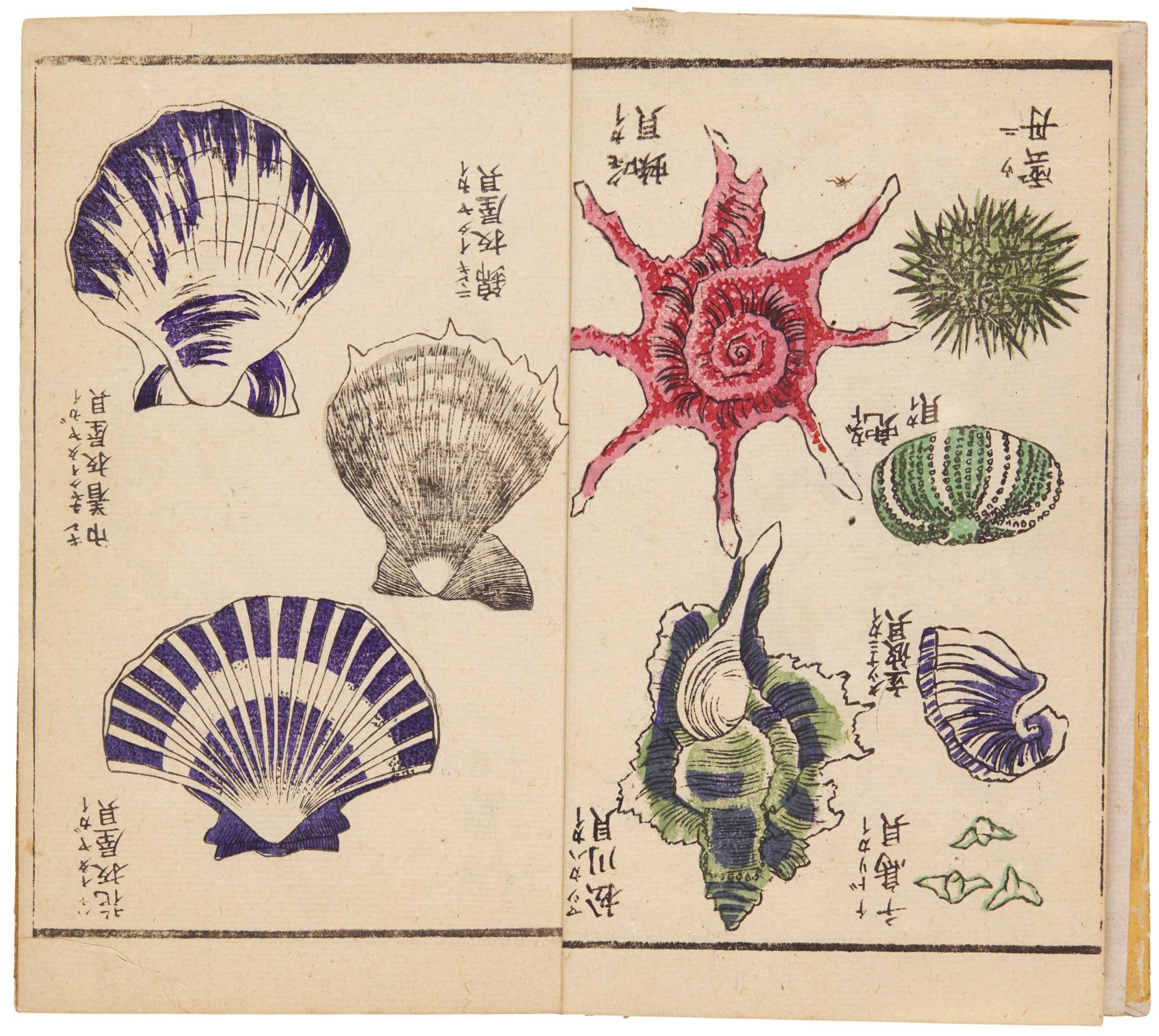 Utagawa Sadahide - Volume Two of Varieties of Natural Phenomenon (Bansho shashin zufu)