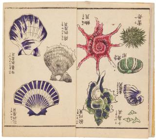 Utagawa Sadahide - Volume Two of Varieties of Natural Phenomenon (Bansho shashin zufu)