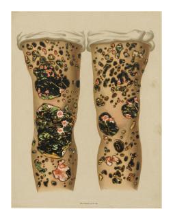 Vagrich Bakhchanyan - Flowers