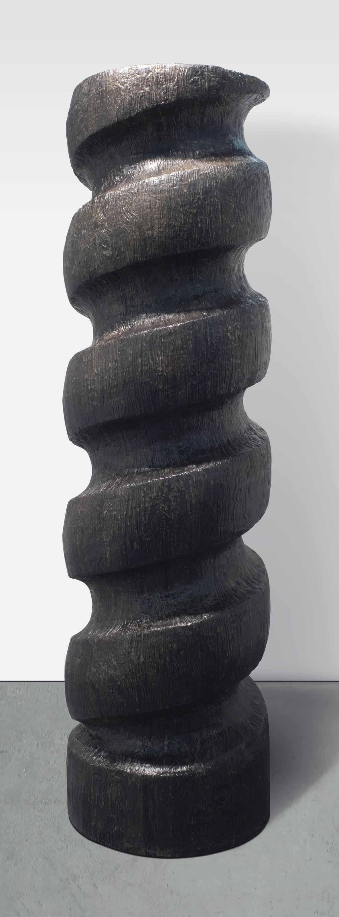 Valentin Carron - 5 Jours Pour Convaincre (5 Days To Convince)