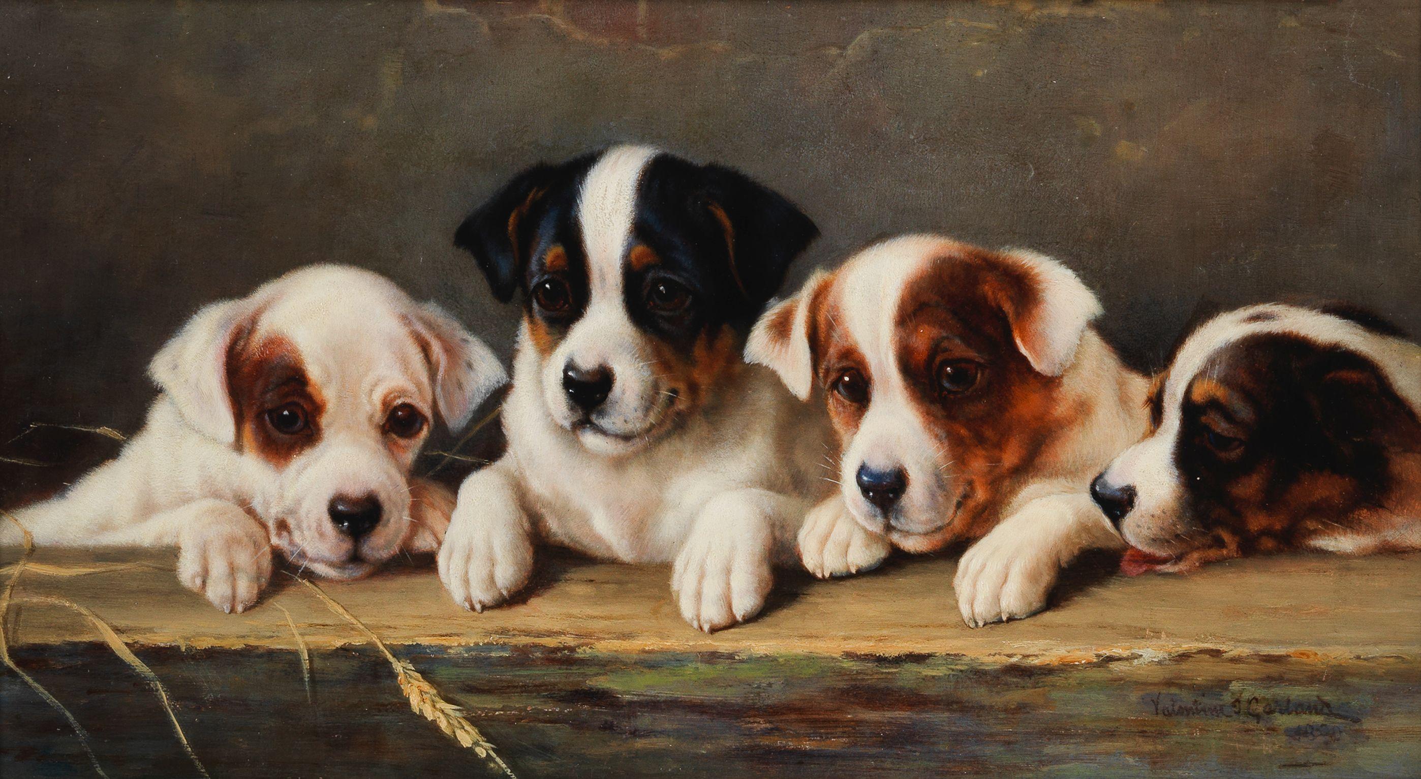 Valentine Thomas Garland - The board of guardians