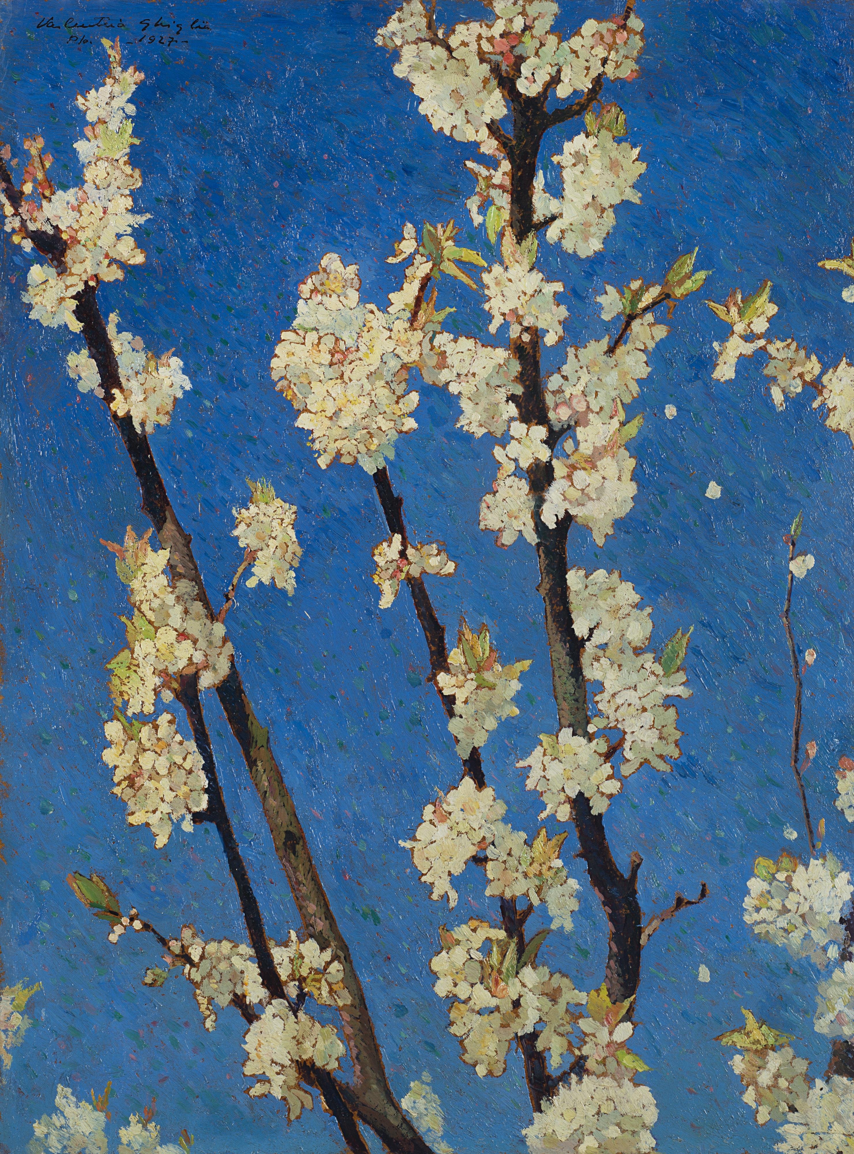 Valentino Ghiglia - Susino fiorito su cielo