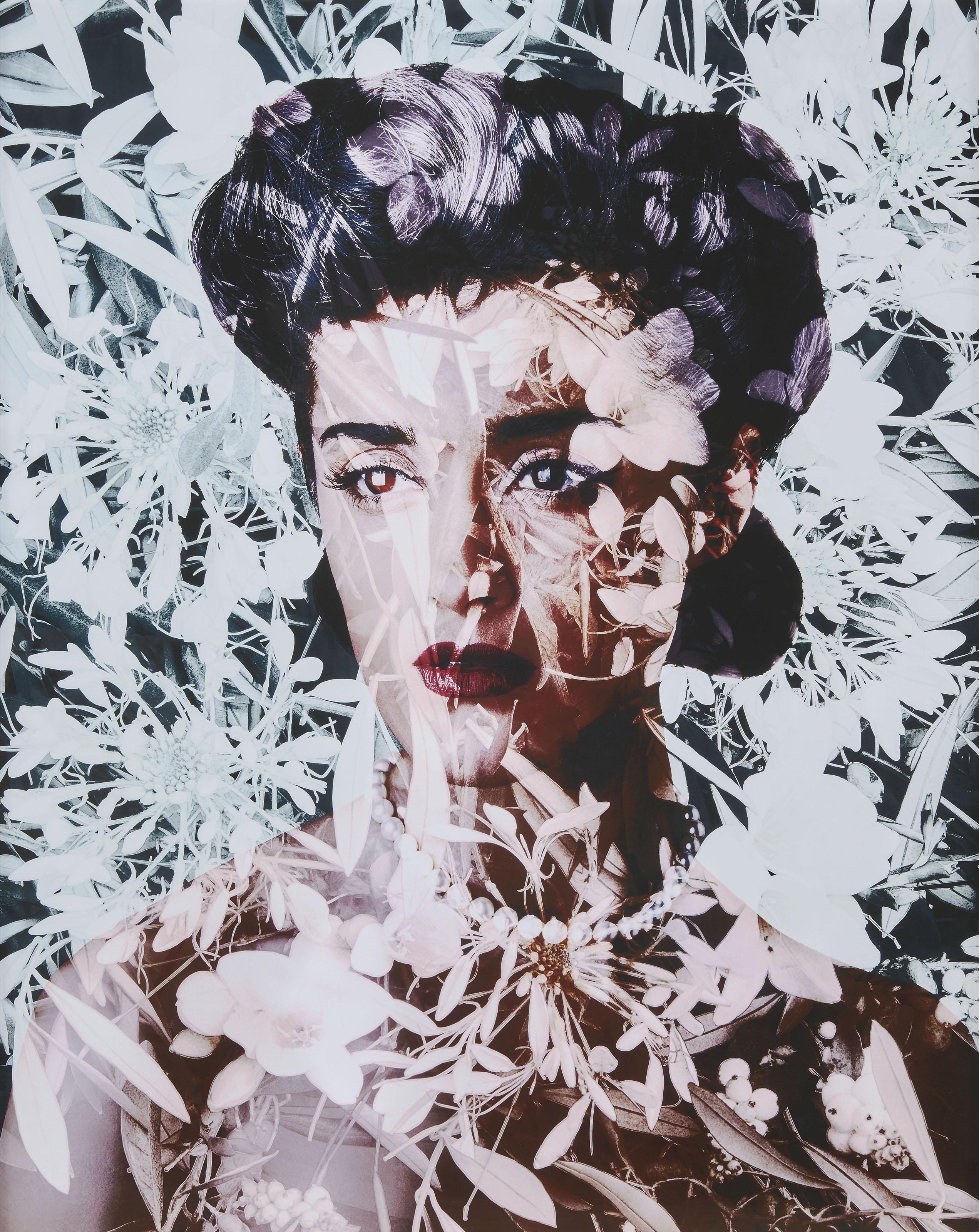 Valerie Belin - Cleome Spinosa (Spider Flower), 2010