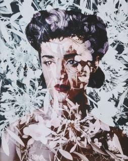 Valerie Belin - Cleome Spinosa (Spider Flower), 2010