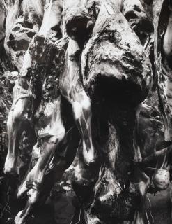 Valérie Belin - Sans Titre (Viande), 1998
