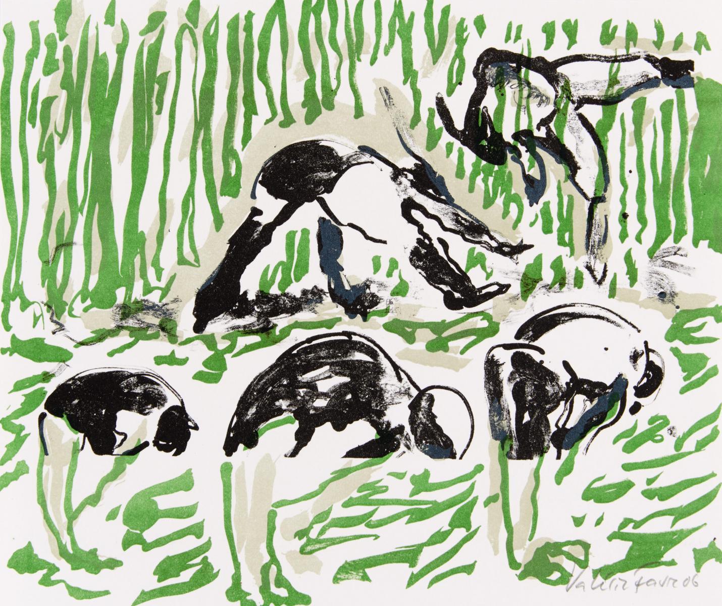 Valérie Favre - Salto.