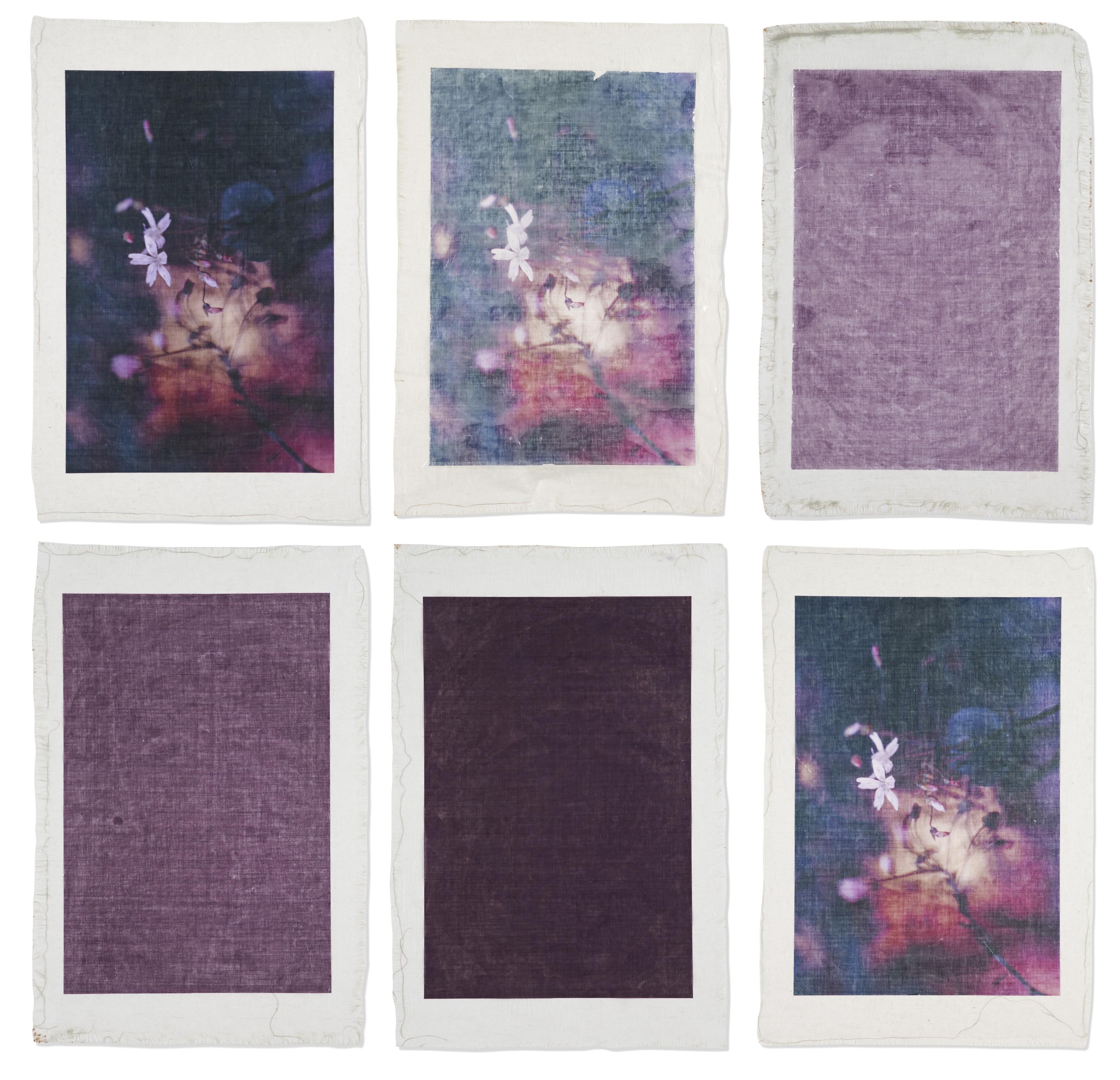 Valerie Snobeck - Bruised Flowers