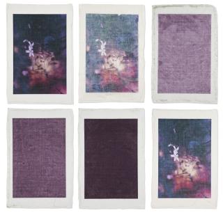 Valerie Snobeck - Bruised Flowers