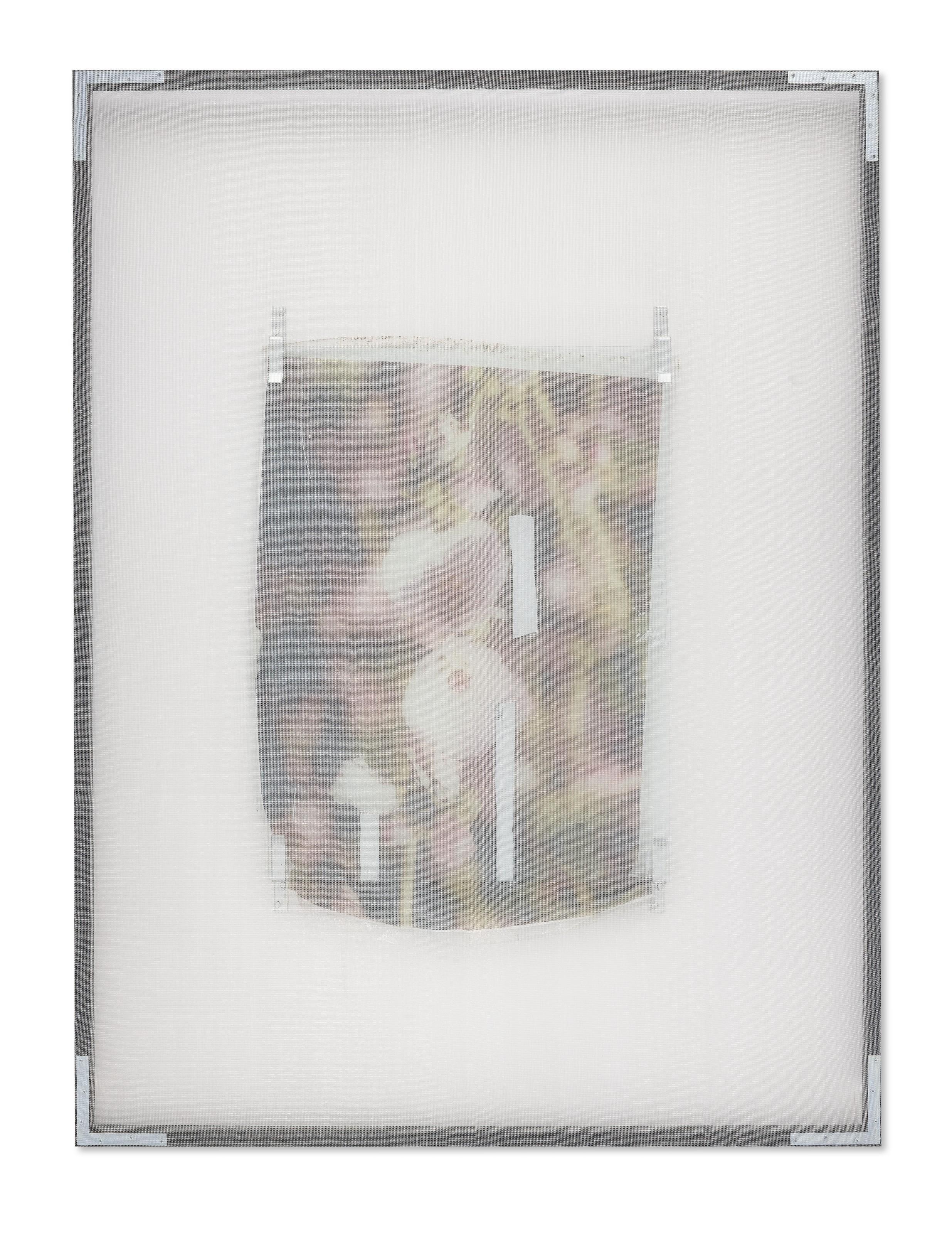 Valerie Snobeck - Charles\' Flower (Open)