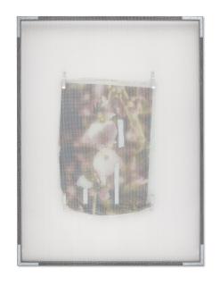 Valerie Snobeck - Charles\' Flower (Open)