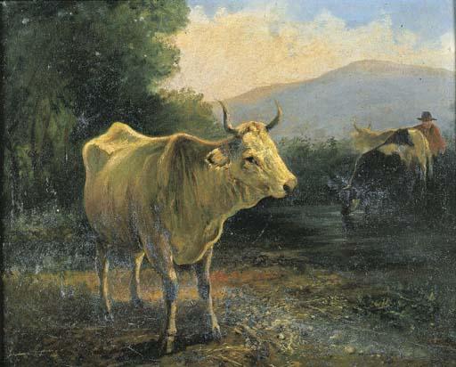 Valerio Laccetti - Mucche al pascolo