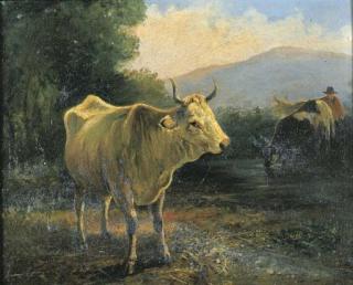 Valerio Laccetti - Mucche al pascolo