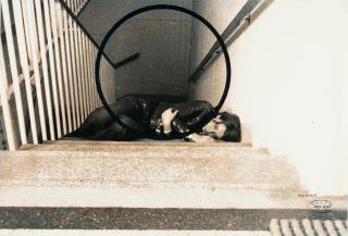 Valie Export - „Einschluss („EINSCHLUß“)“