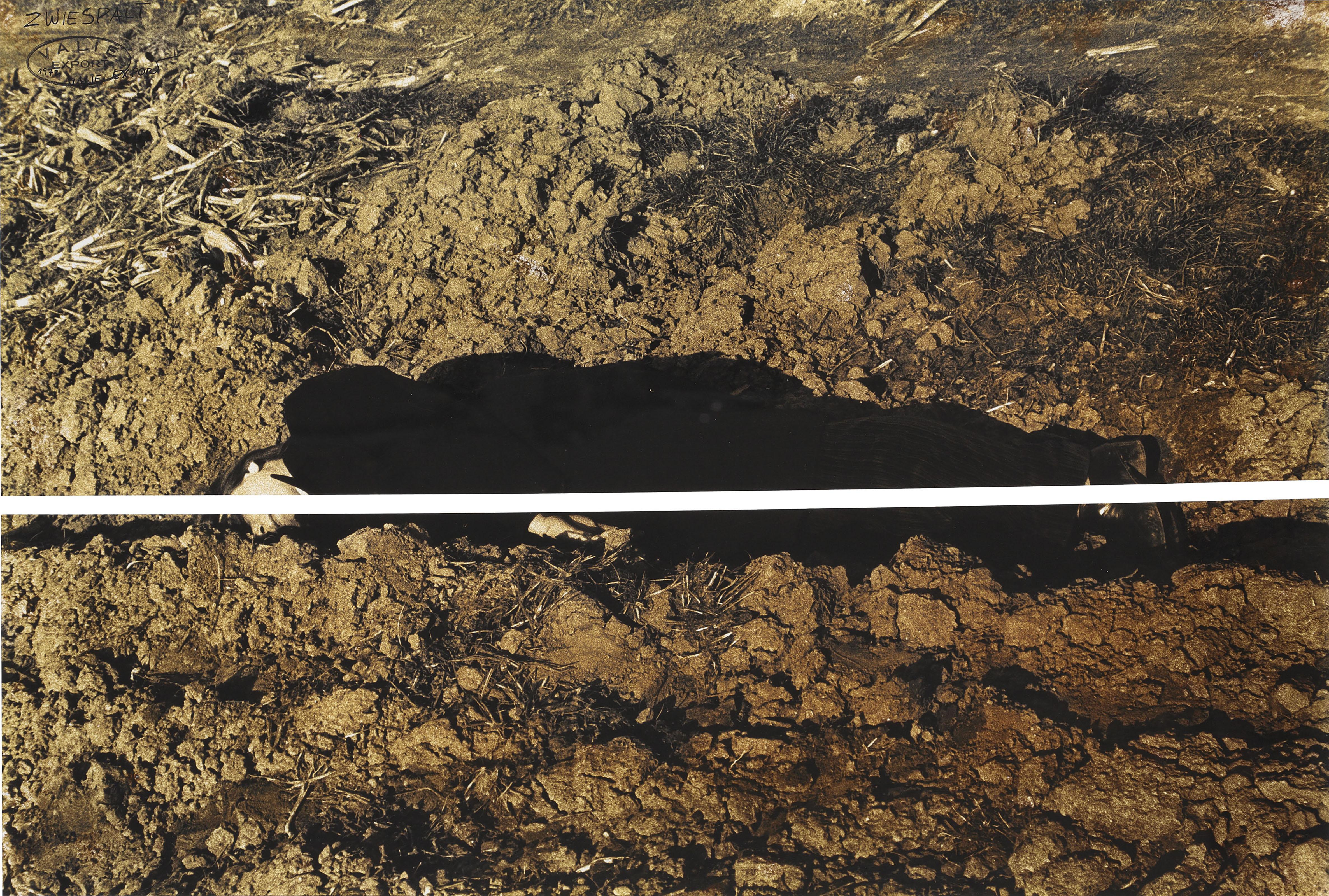 Valie Export - Zwiespalt (Discord)