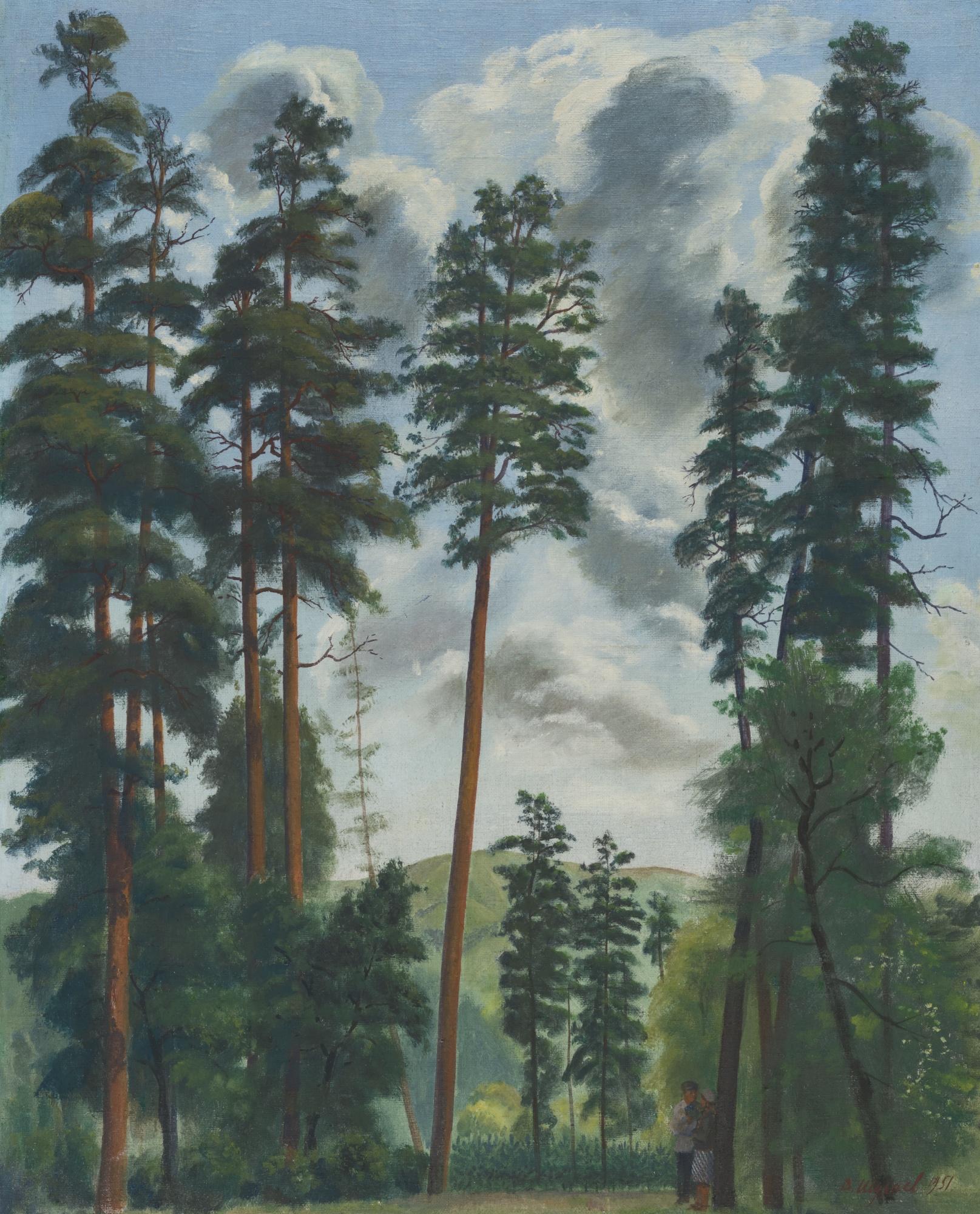 Vasily Ivanovich Shukhaev - Tsikhidzhvari