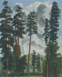 Vasily Ivanovich Shukhaev - Tsikhidzhvari