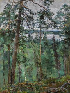 Vasily Vasilievich Rozhdestvensky - Northern Landscape