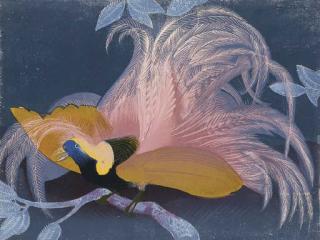 Vaughan Murray Griffin - Bird of Paradise